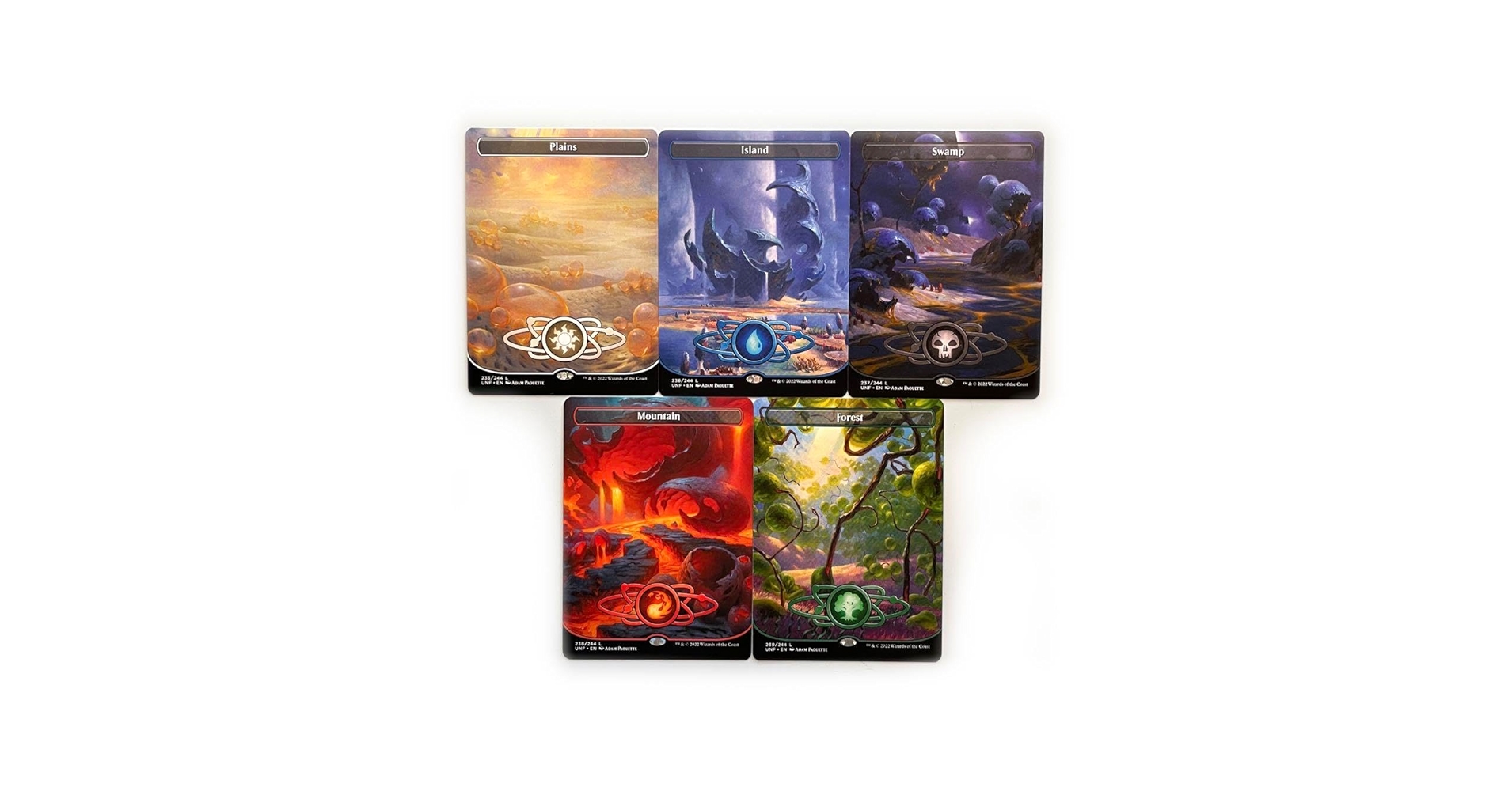 MTG 英語 基本地形 基本土地 全コンプリート 3ED〜LTR コレクション向