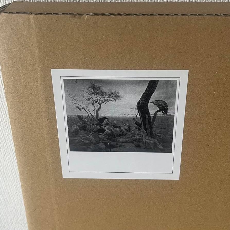 杉本博司 ポスター『ハイエナ、ジャッカル、コンドル』 【公式通販】