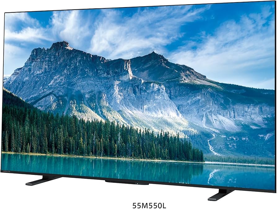 REGZA 55M550M 2024年モデル 液晶テレビ REGZA 55M550M 2024年モデル
