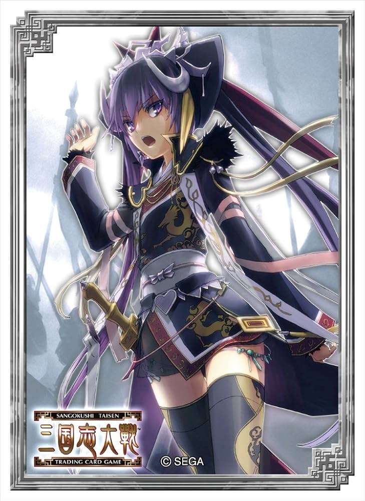 三国志大戦tcg 孫尚香 tcgの宴 100個限定スリーブ 未開封未使用品 本物
