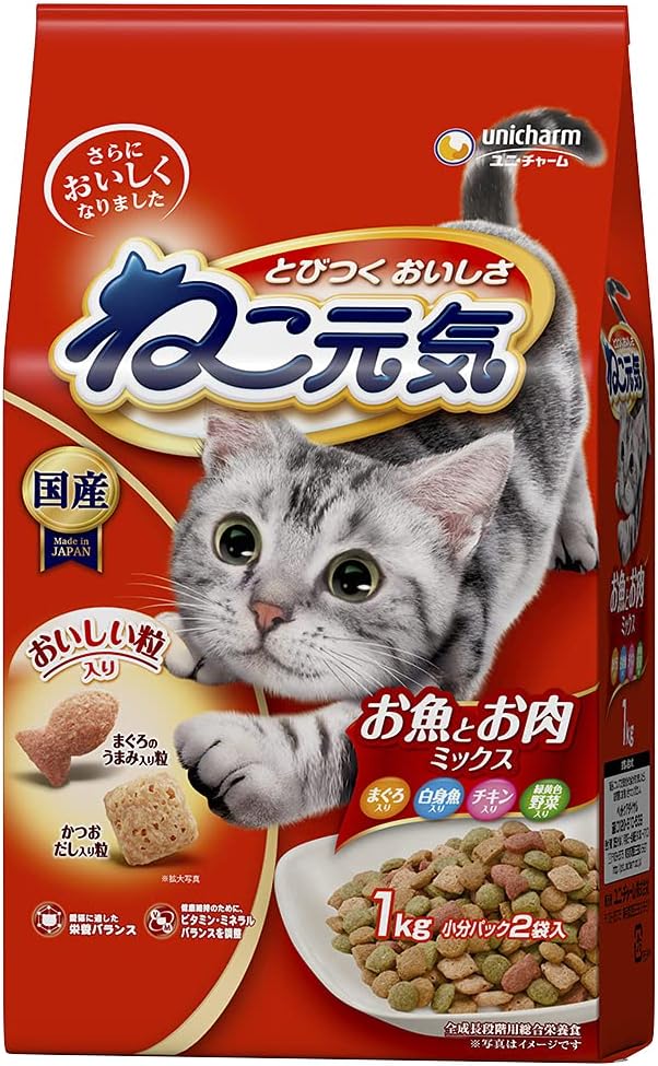 人気の猫用ドライフードおすすめ19選！子猫もシニアも！多種多様な