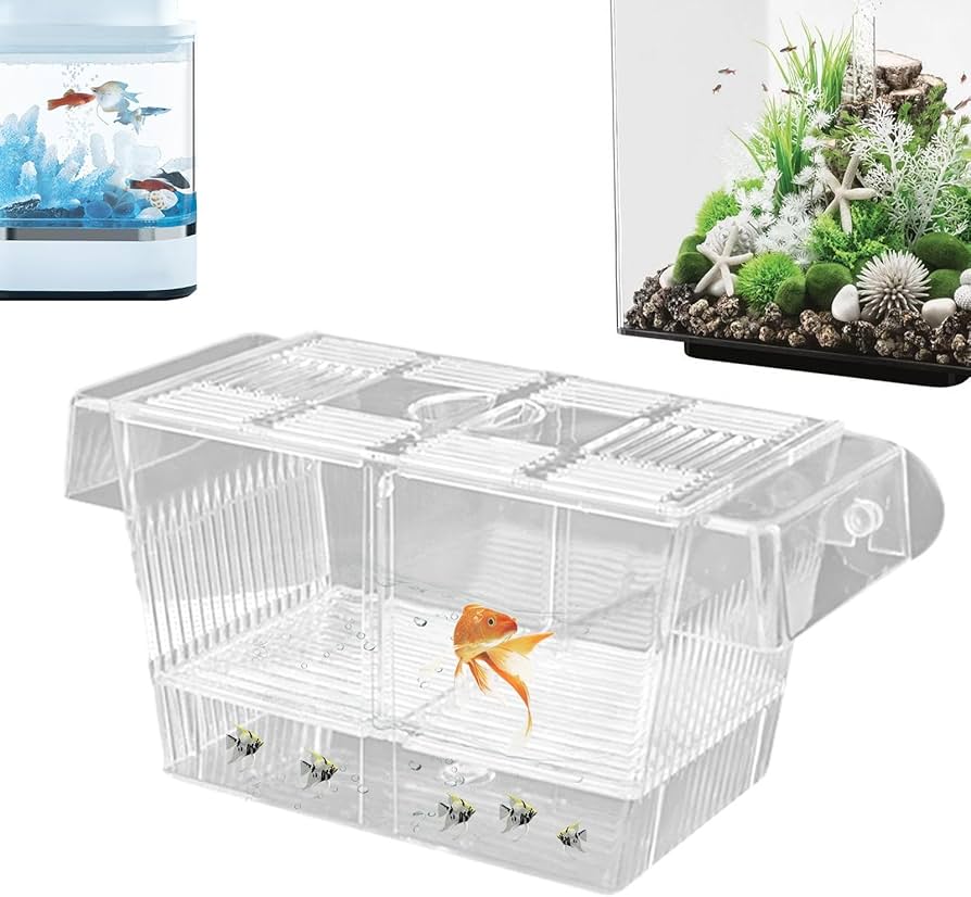 Amazon.co.jp: Luganud水槽用ブリーダーボックス - 産卵飼育ボックス