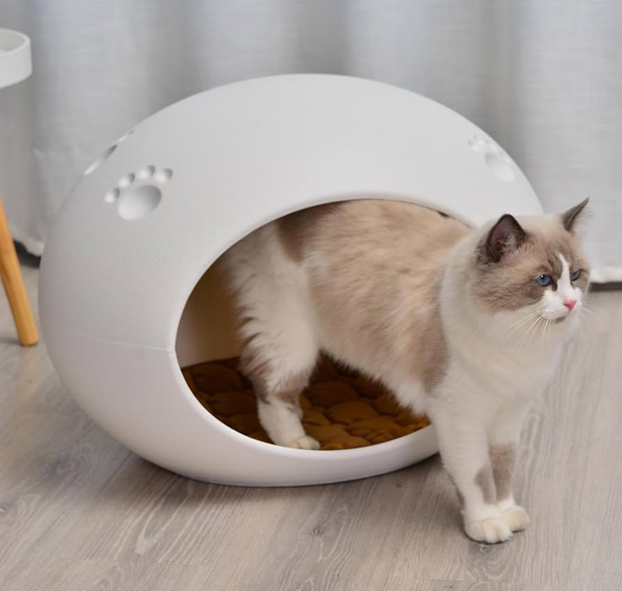 Amazon.co.jp: 半密閉卵形楕円形プラスチック犬ベッド、犬ベッド、猫