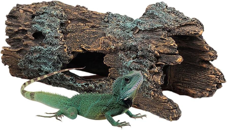 Amazon.co.jp: フトアゴヒゲトカゲの隠れ家の洞窟 | 爬虫類の洞窟