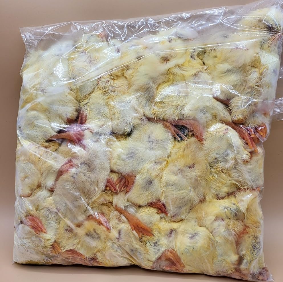 Amazon | 【クール便発送】国産冷凍ひよこ(雛) 60羽入り 猛禽類