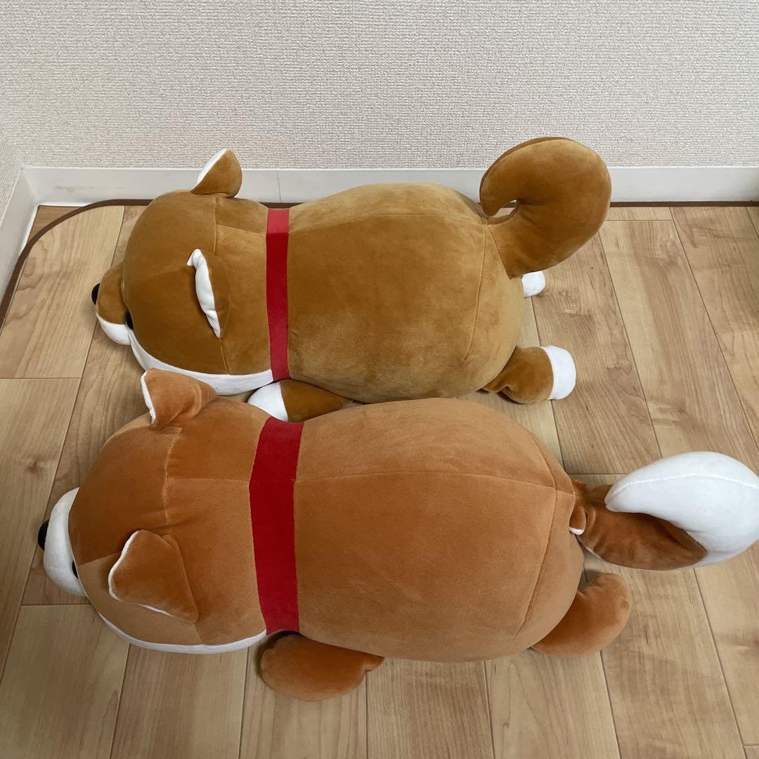 ハッピーまめしば 特賞 特等 柴犬 特大ぬいぐるみ 新品 Amazon.co.jp