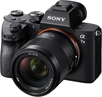 Amazon.com : Sony SEL35F18F FE 35mm F1.8 Large-Aperture Wide-Angle