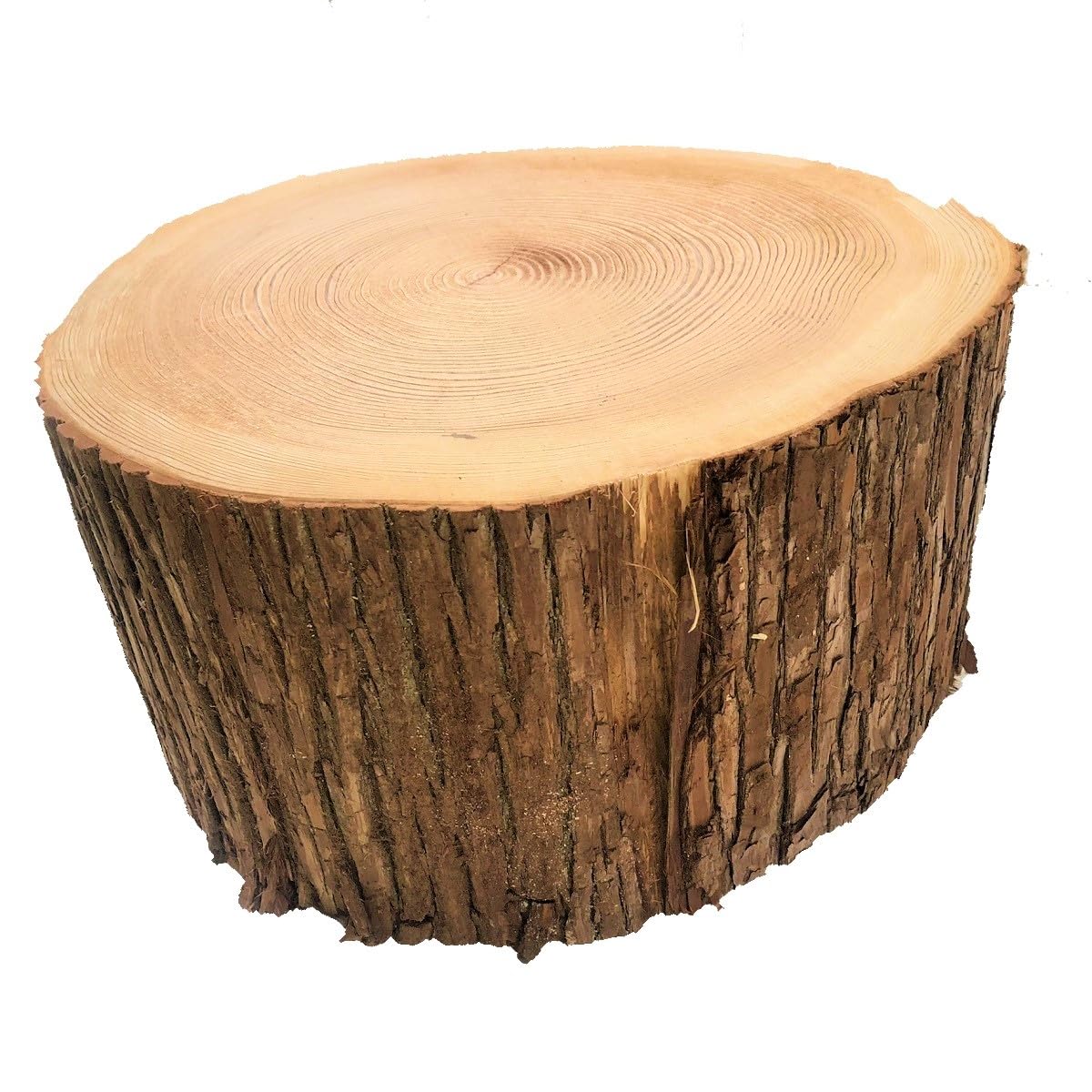 Amazon.co.jp: 川島材木店 杉切り株でできた丸太の椅子 高さ約40cm Φ約