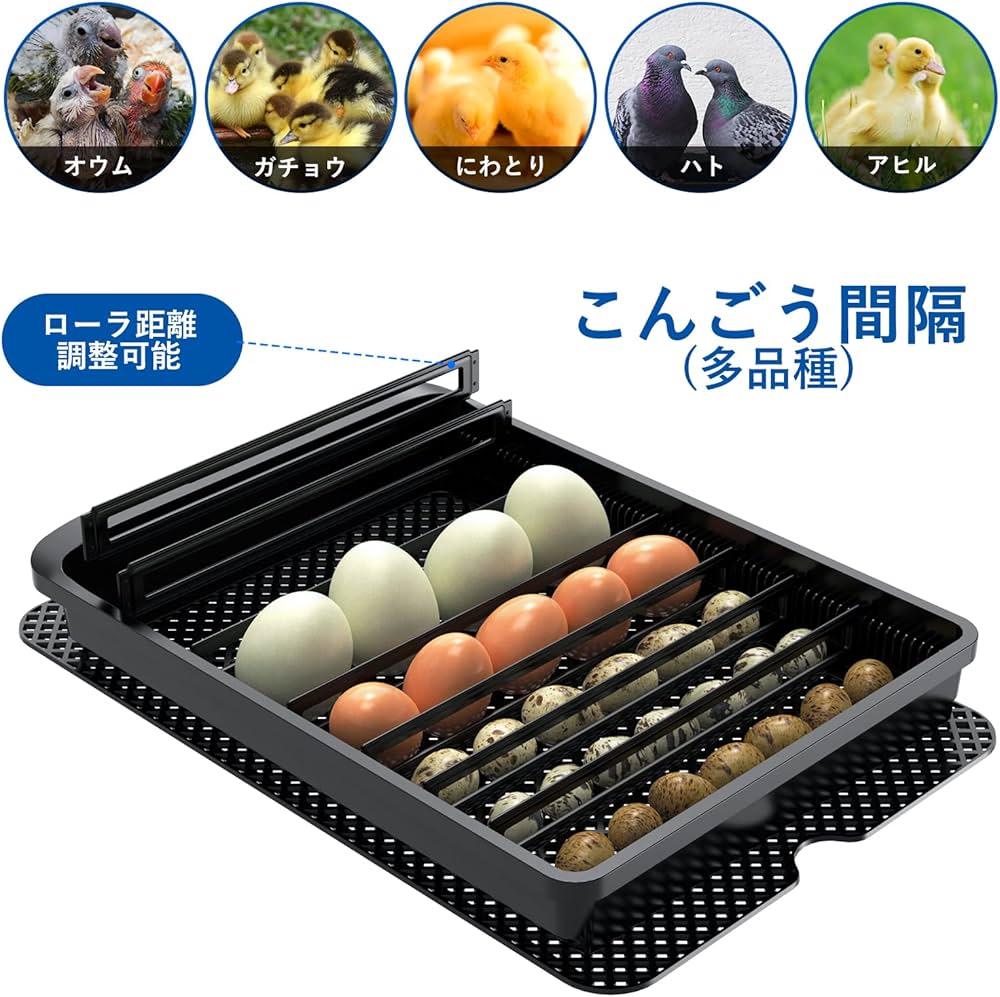 Amazon.co.jp: LifeBasis 自動孵卵器 インキュベーター 鳥類専用ふ卵器