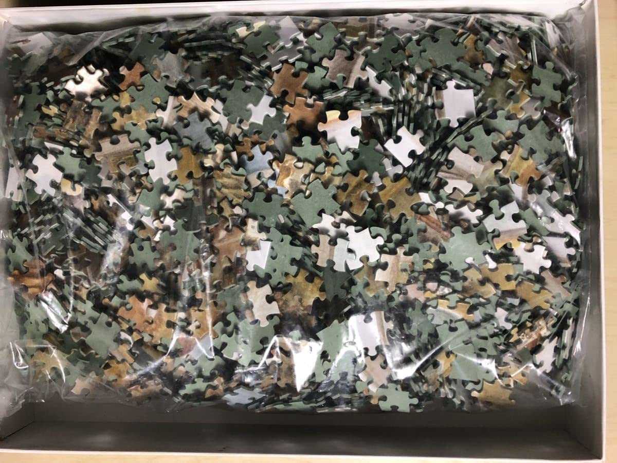 新品、未開封】わちふぃーるどの世界 2014ピース パズル 希少 Amazon