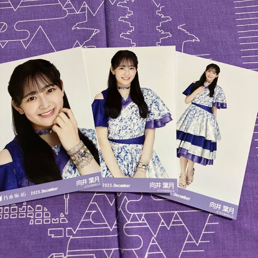 賀喜遥香 楽曲衣装 生写真 23コンプ フルコンプ 【公式通販】