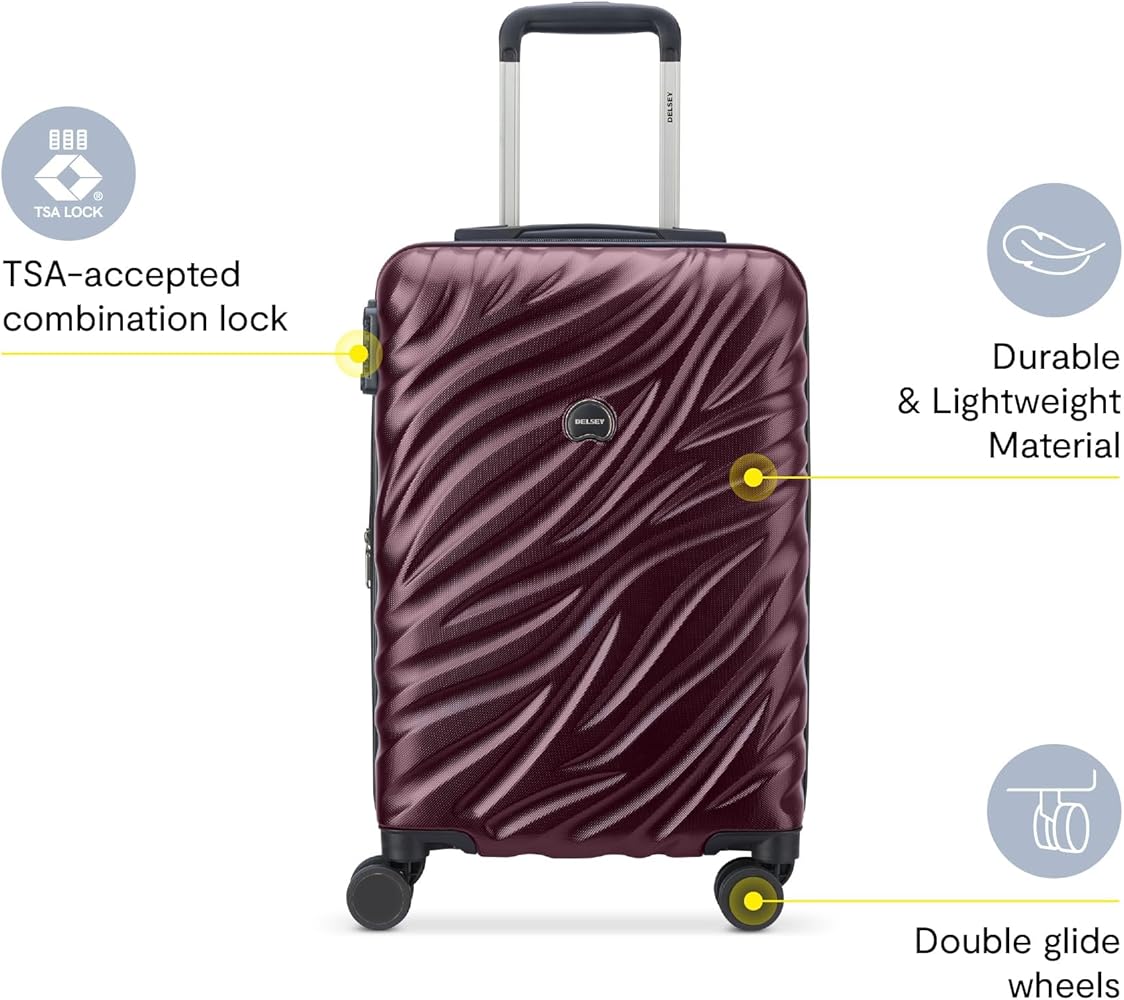 Amazon.com | Delsey Paris Alexis Durable Hardside Luggage