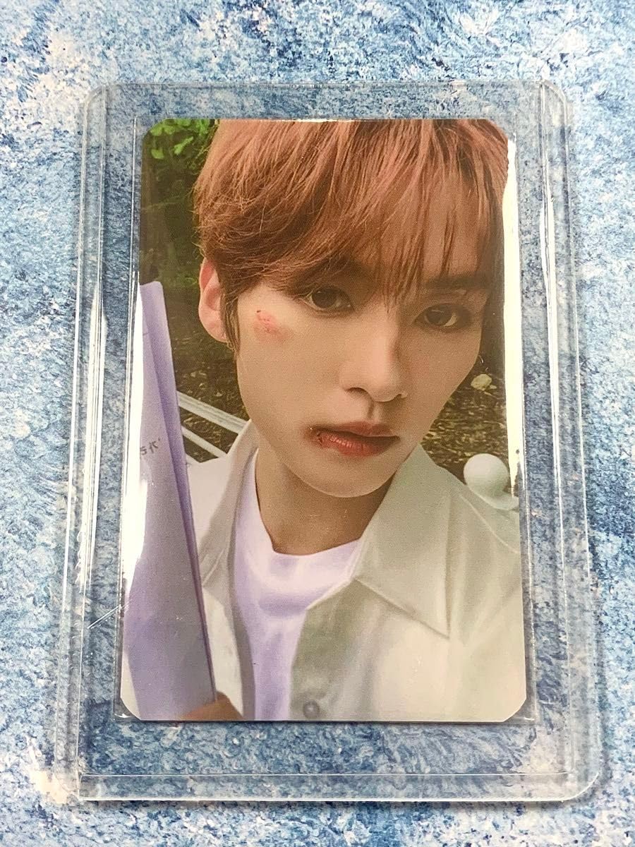 本国POPUP リノ リアルタッチ QRトレカ 本国POPUP リノ リアルタッチ