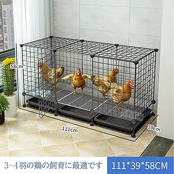 新品未開封】鶏小屋 鑑賞用 ニワトリ うずら うさぎ 鳥 など用 カゴ