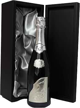 71rqeMV0JcL._AC_UF350,