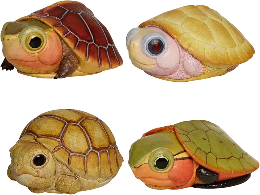 Amazon.co.jp: BACALYSO | 動物惑星 五周年 限定版 カメ 亀