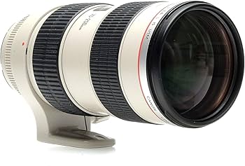 Amazon.co.jp: Canon EF L Lens 70-200mm F2.8L IS USM : Electronics