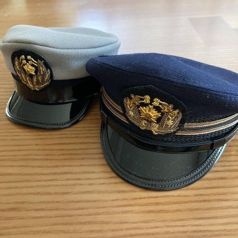 Amazon.co.jp: ミニチュア 警察制帽 2個セット : おもちゃ