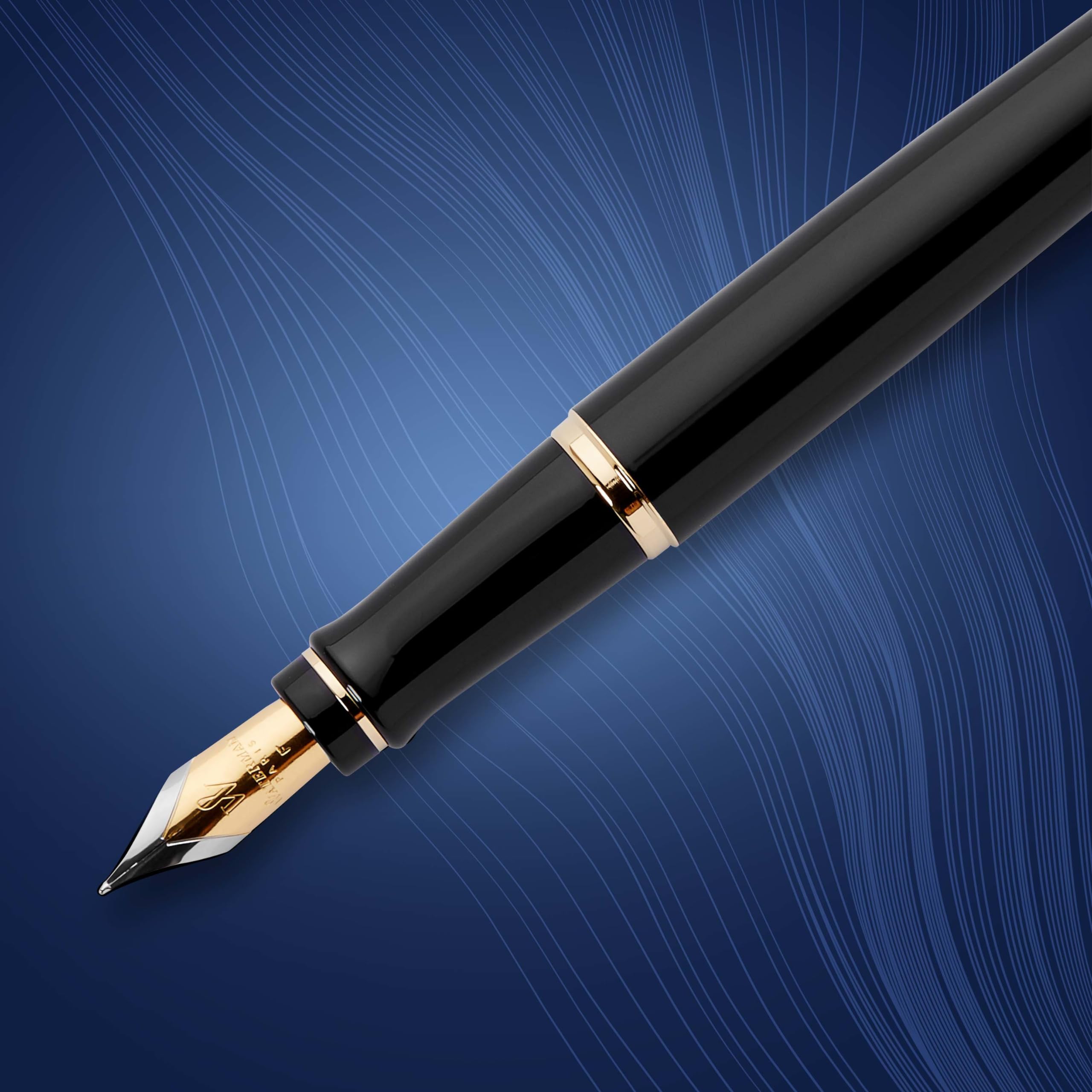 Amazon | Waterman Expert Fountain Pen, Fine Nib, Black with Gold