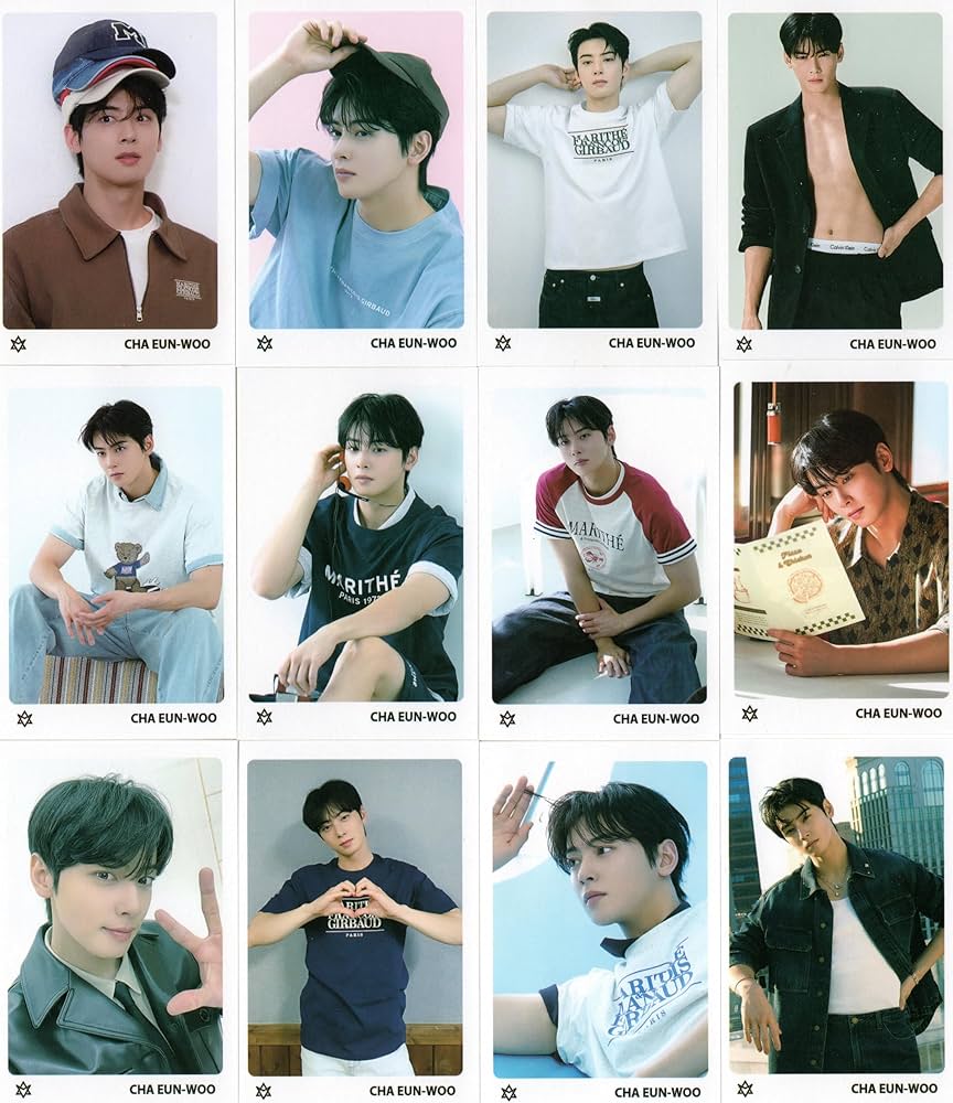 Amazon.co.jp: チャウヌ グッズ フォトメッセージカード 56枚 トレカ