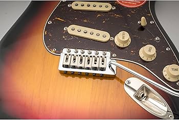 Amazon.co.jp: Wilkinson WOV09 Deluxe10.5mm STトレモロブリッジ6点