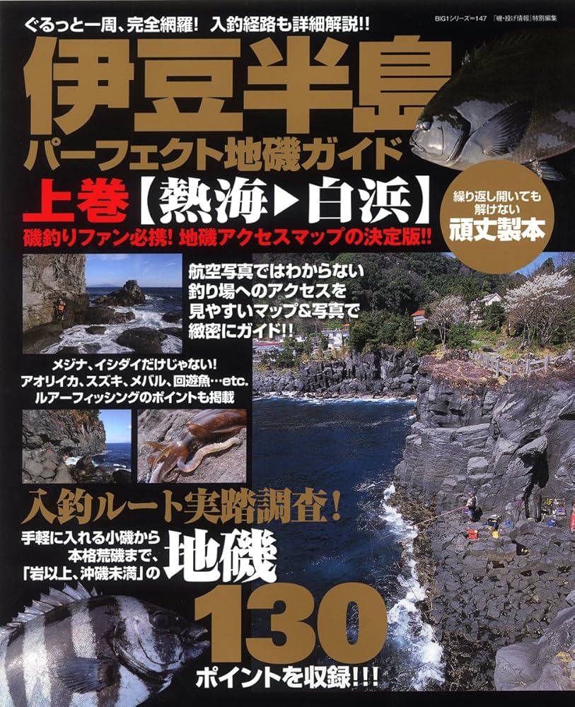 伊豆半島 パーフェクト地磯ガイド 上下 伊豆半島パーフェクト地磯