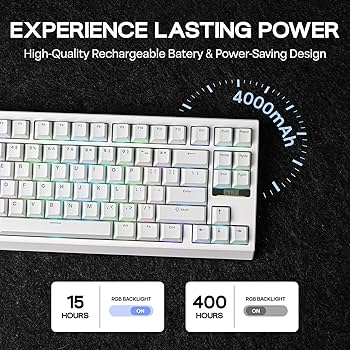 Amazon.com: EPOMAKER G84 80% RGB Gaming Mechanical Keyboard, 2.4