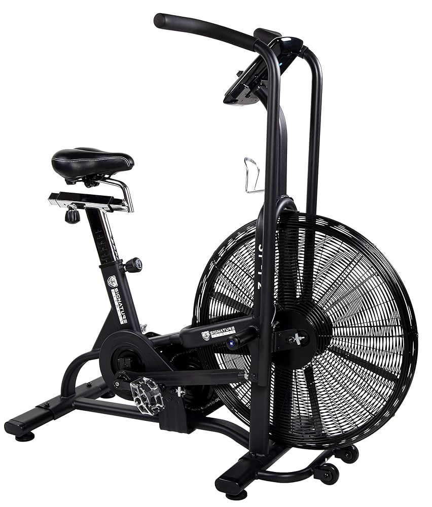 BICYCLE New fan back（White,Black） 【公式通販】