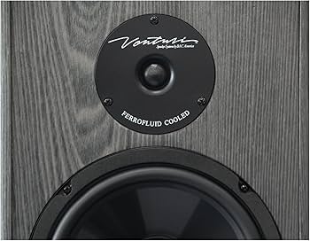 Amazon.com: BIC America DV62SIB 175-Watt 2-Way 6.5-Inch Bookshelf