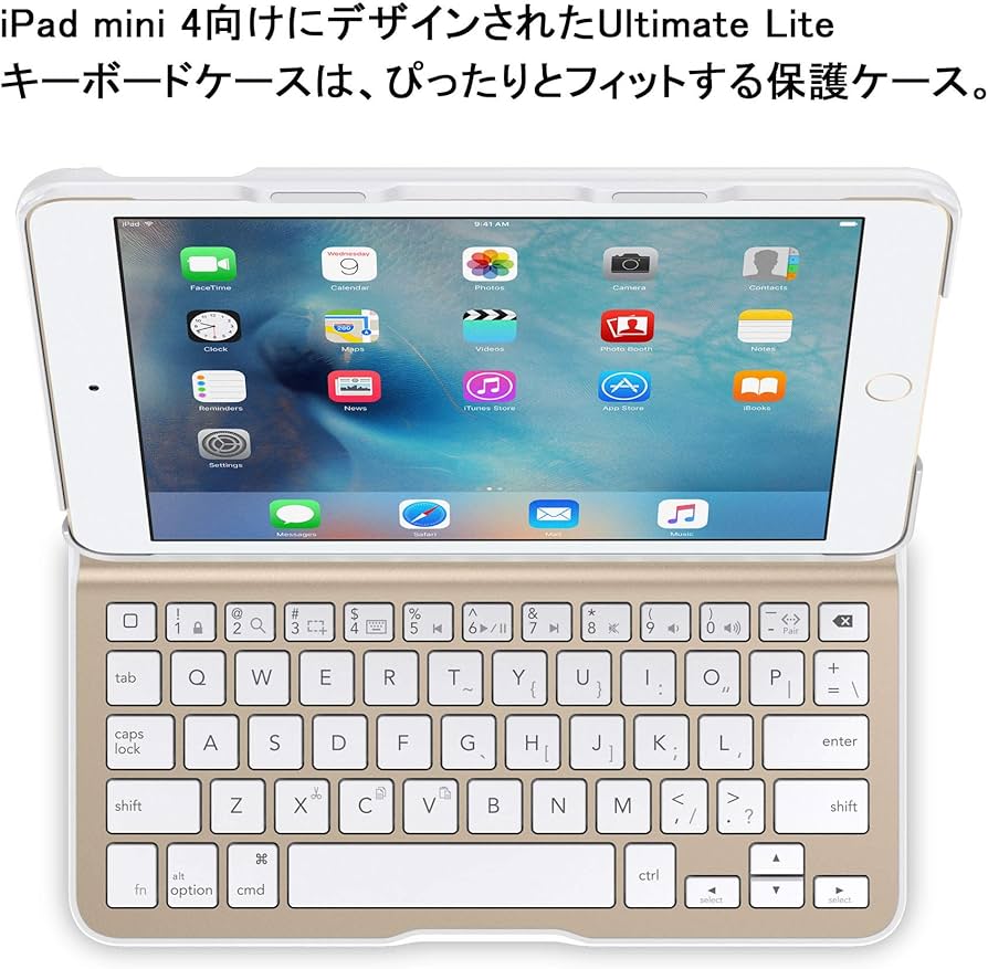 813o+ZRZy7L._AC_UF894,