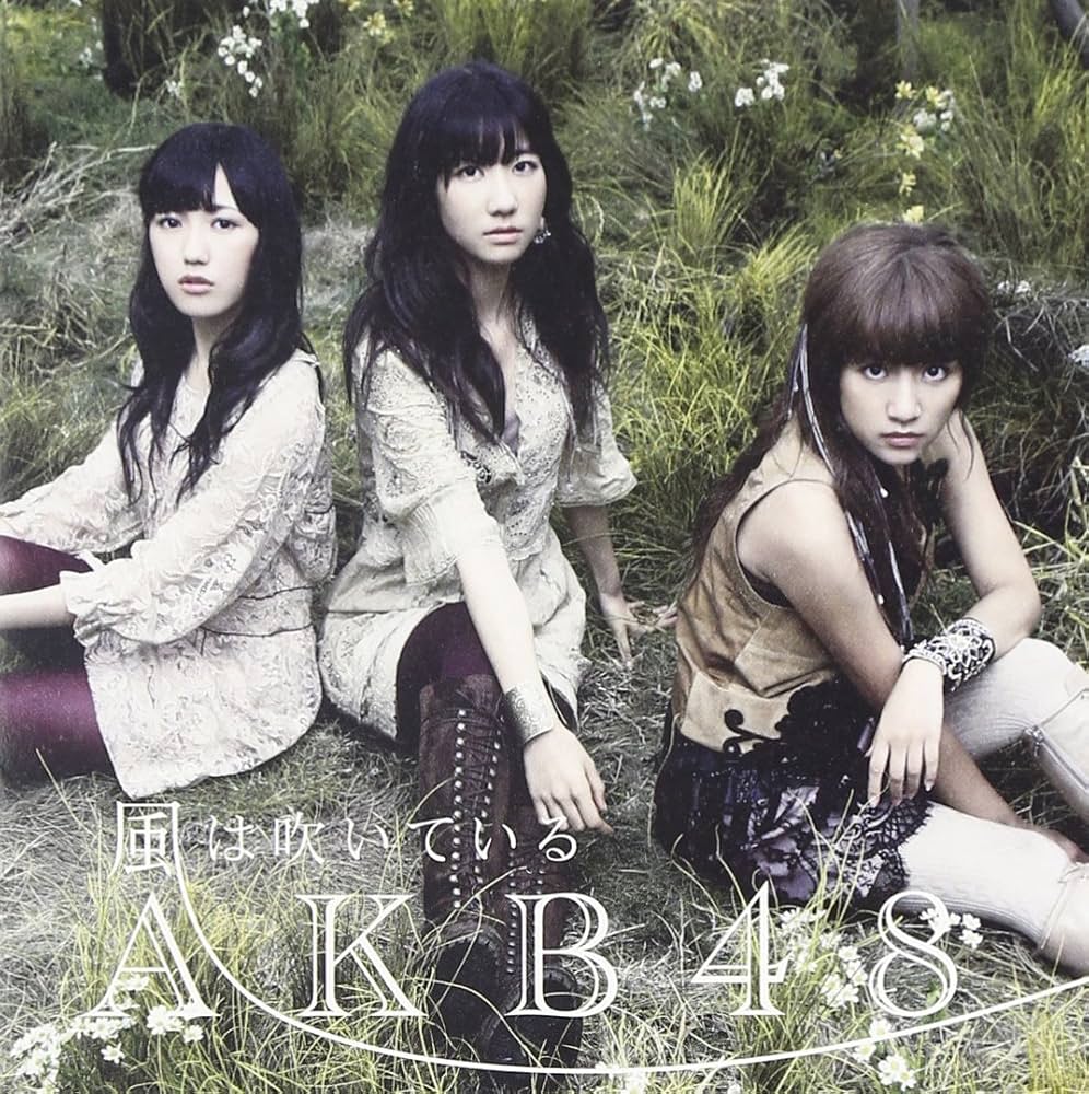 AKB48 - 【多売特典生写真無し】風は吹いている (Type-B)(通常盤