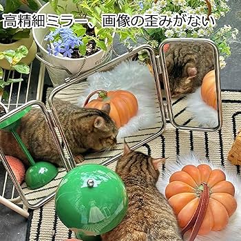 Amazon.co.jp: 壁掛け鏡 3面ミラー 折りたたみ式 おしゃれ 高精細