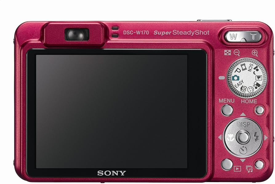 Amazon.com : Sony Cybershot DSCW170/R 10.1MP Digital Camera with
