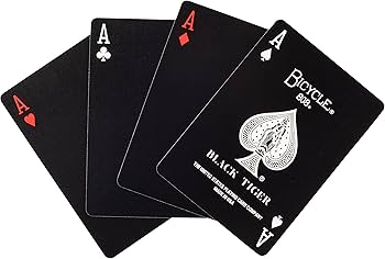 81va8jS5OWL._AC_UF350,