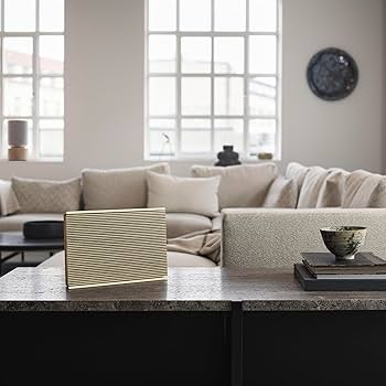 Amazon.com: Bang & Olufsen Beosound Level Portable Wi-Fi Multiroom