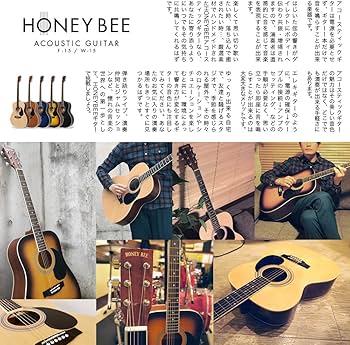 Amazon | HONEY BEE アコースティックギター W-15M/N マット