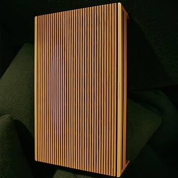 Amazon.com: Bang & Olufsen Beosound Level Portable Wi-Fi Multiroom