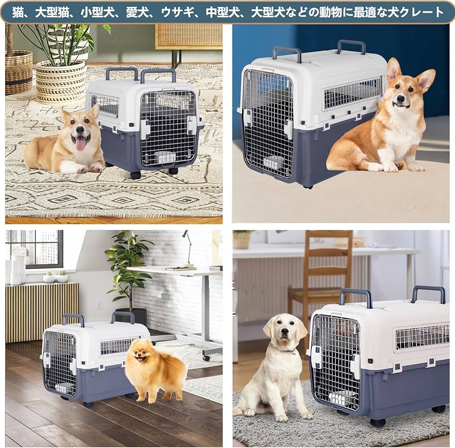 Amazon | BBBuy犬 クレート 犬 中型犬 大型犬 小型犬 猫 ペット