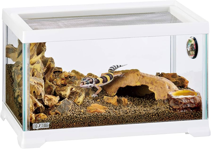 Amazon | エキゾテラ GEX EXOTERRA レプテリアホワイト300 Low 小型