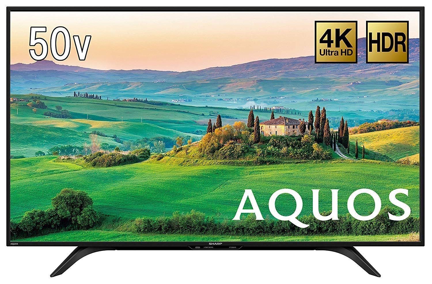 SHARP AQUOS 4T-C50DN2 50型 4K液晶テレビ 2021年製 シャープ AQUOS 4K