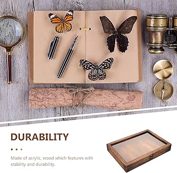 Amazon.co.jp: TOYMYTOY 木製昆虫展示ケース 12×8.7×1.7インチ 透明
