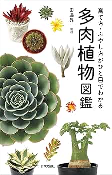 多肉植物写真集 第1巻 & 第2巻 セット 楽天市場】本：多肉植物写真集