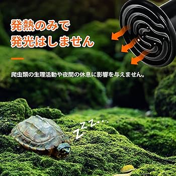 Amazon | DXTECHPRO 100W 2個 爬虫類 ヒーター ライト 赤外線ライト