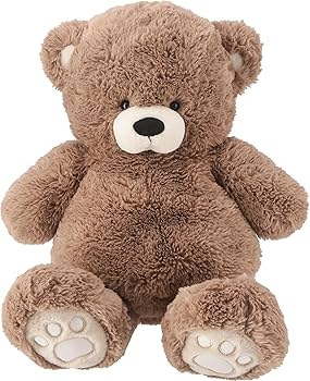 81BmL5lkdvL._AC_UF350,