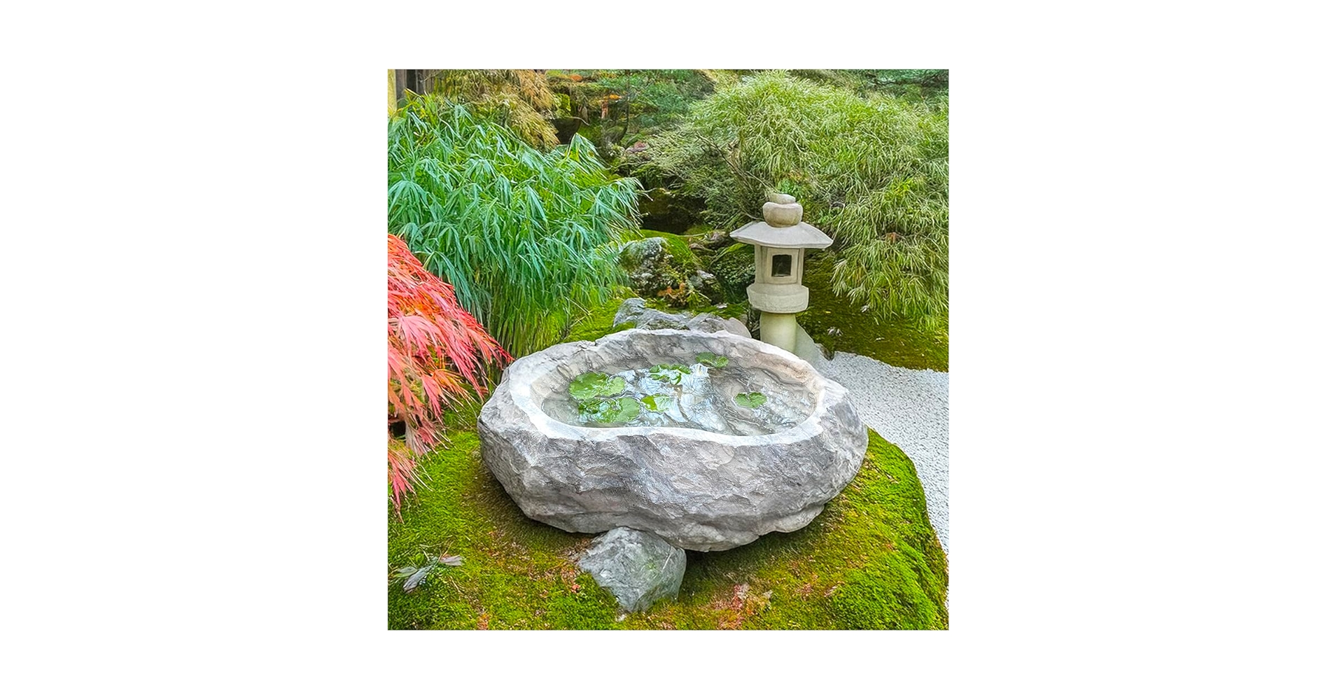 ツボ メダカ 睡蓮 庭 壺 風情 陶器製 鉢 大甕 甕 水甕 水瓶 インテリア