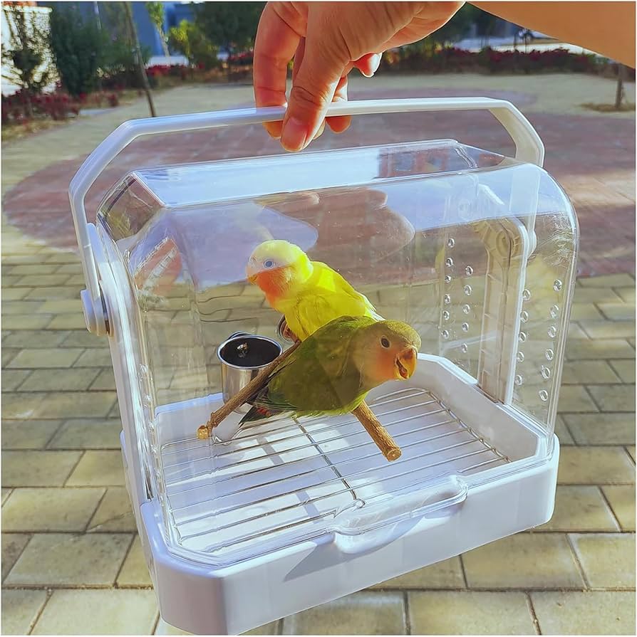 Amazon | インコ キャリー・鳥籠両用 パノラマ完全透明アクリル鳥