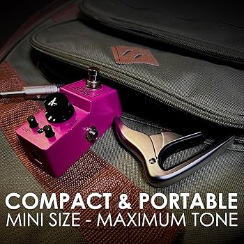 Amazon.com: IBANEZ Analogue Delay Mini Effect Device - Made in