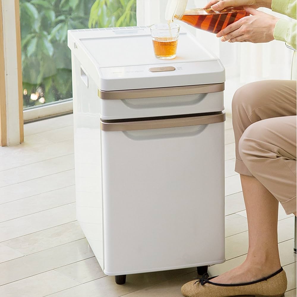 81EW1wPN6ZL._AC_UF1000,