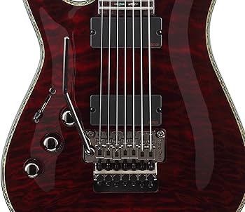 Amazon.co.jp: Schecter シェクター Hellraiser C-7 レフトハンド