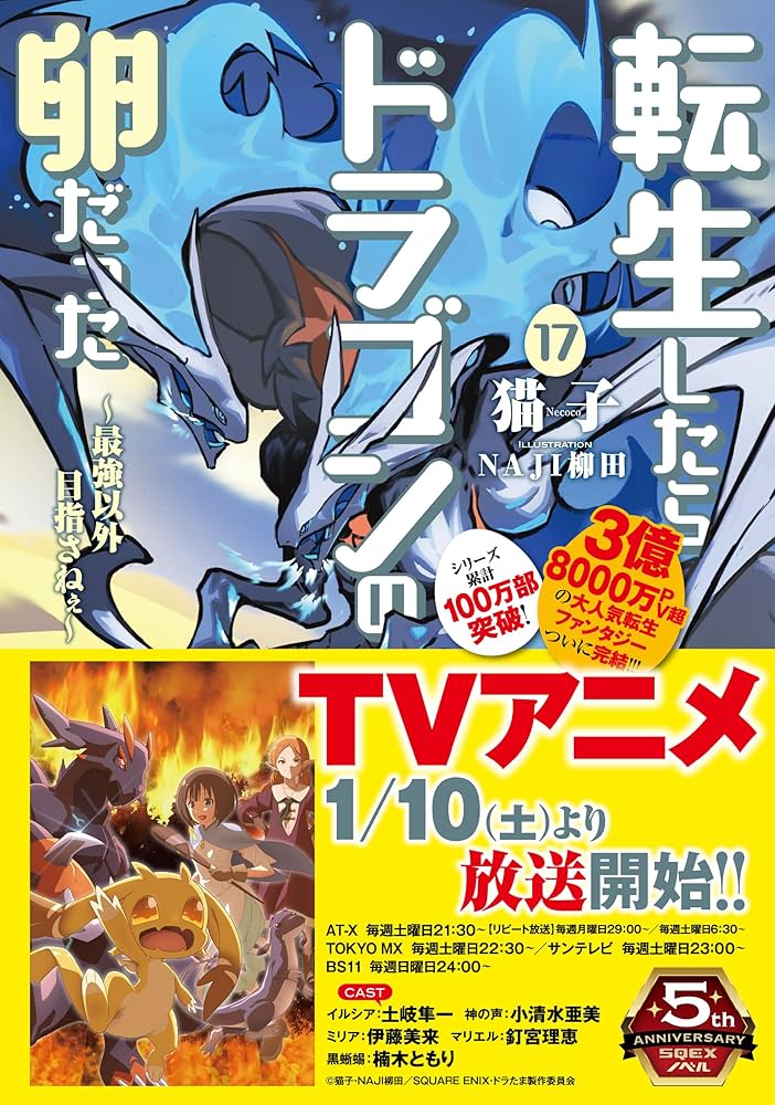 転生したらドラゴンの卵だった~最強以外目指さねぇ~(17)(完) (SQEX